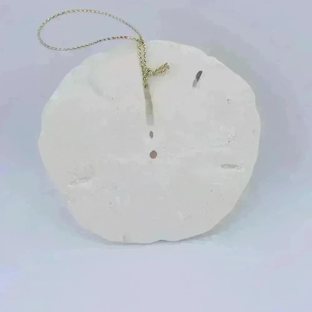 From Catalina Island sea shell Christmas ornament with teal color and glitter - Picture 3 of 7